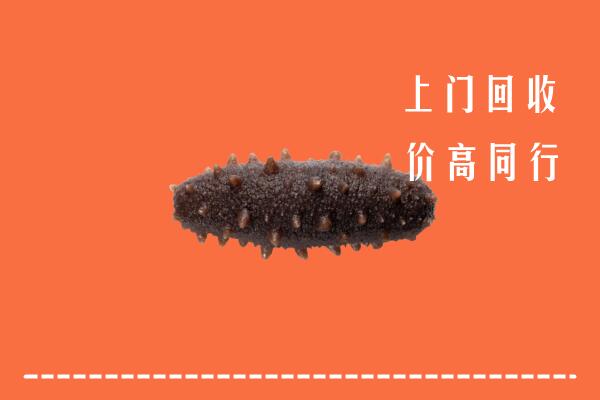 高价求购：保山市回收海参